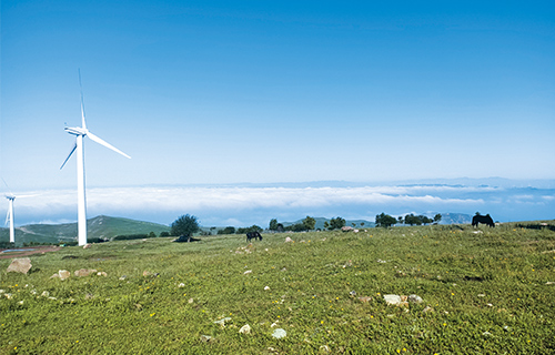 VIP888��(�й���)���޹�˾����