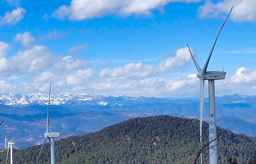 ������ţƺ��糡һ�ε�Ƶˢ����Ŀ