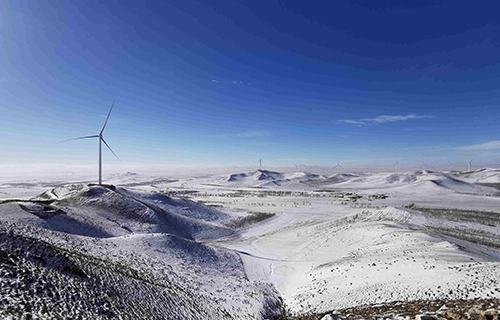 ���ɹ��������϶���糡