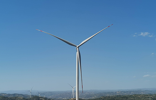 ����ʡ�����������������糡