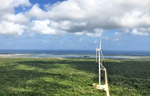 ī�����ȿ�̹�뵺���޸�������糡