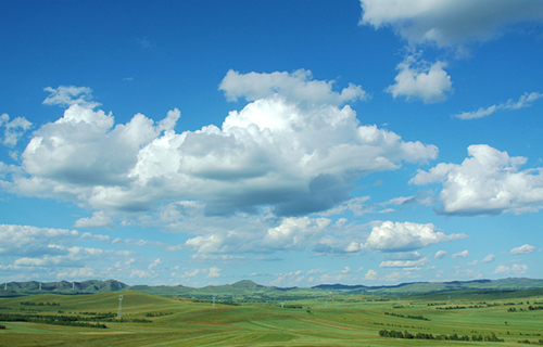 2.0MW˫������������Ӧ��