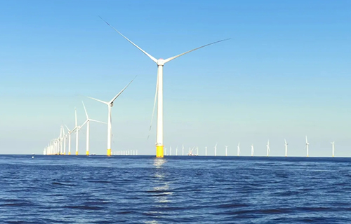 �������������Ƶ糡