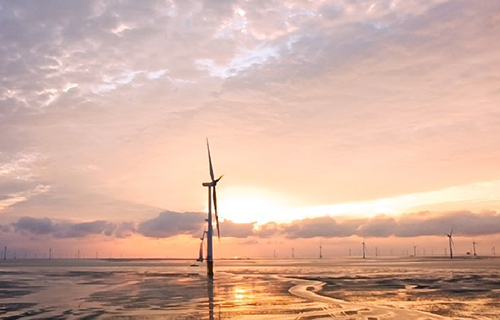 ����?����ɳ50MW�����Ƶ���Ŀ