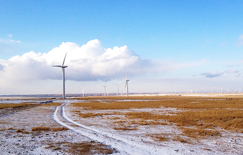 ���ɹŻ������������糡