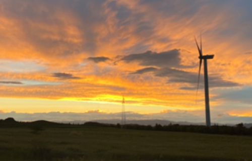 �ӱ��żҿ�����̲��糡