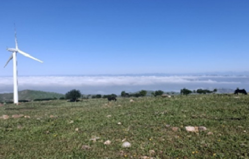 �ӱ��żҿ���ε�ؿ��в�ԭ��糡