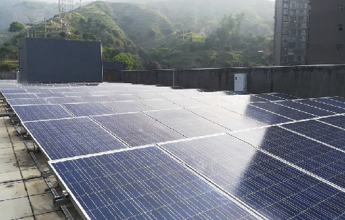 ��֦���ݶ���Ŀ