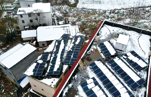 ����������������Ŀ