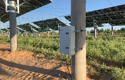 ���ɹſⲼ��14MW��ģ��Ŀ