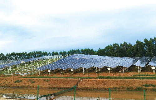 �ǵ���20MWũ�⻥��һ�����Ŀ