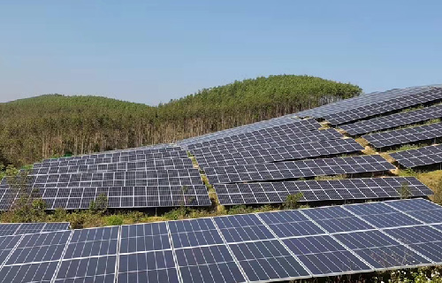 ���������񺣹��������Ŀ