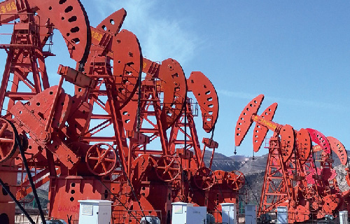 ������ͻ��������ȹ�