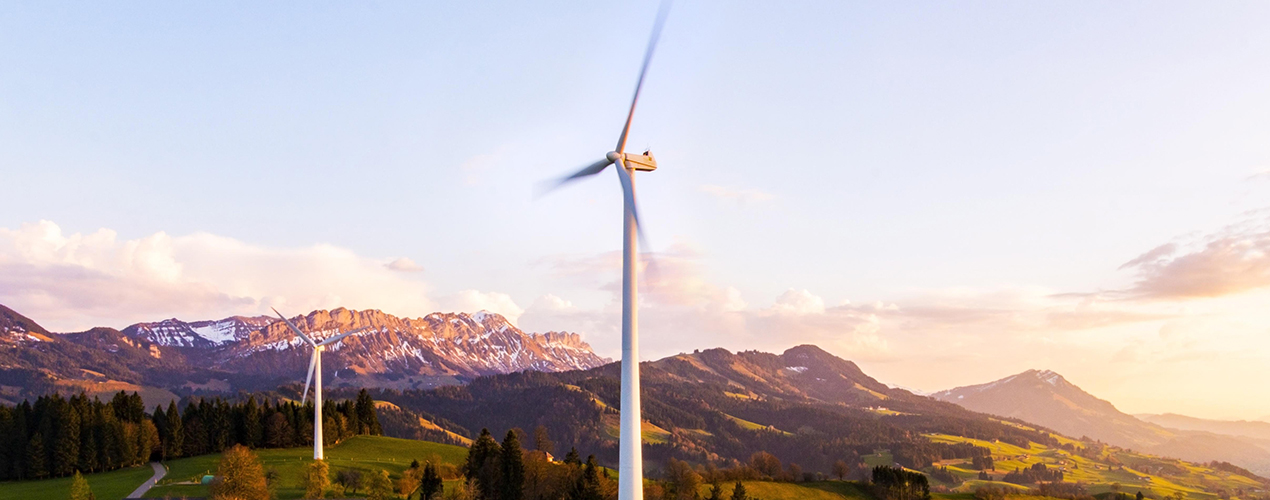 VIP888��(�й���)���޹�˾����