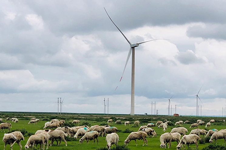 VIP888��(�й���)���޹�˾����