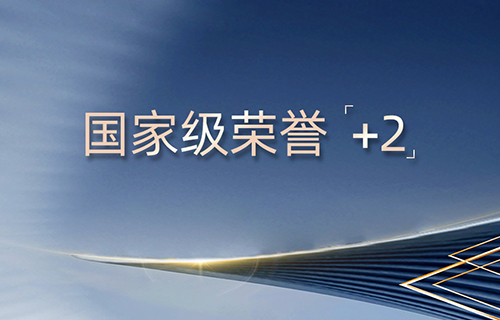 VIP888��(�й���)���޹�˾����