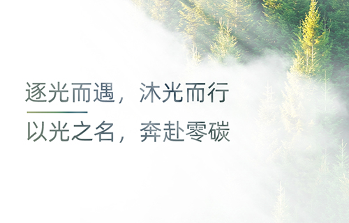 VIP888��(�й���)���޹�˾����