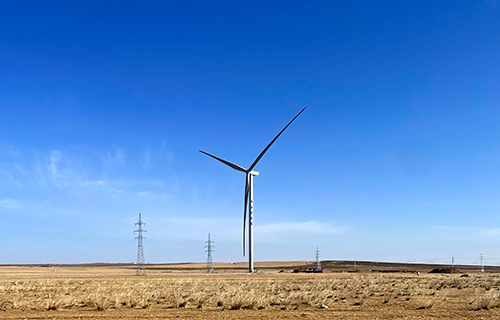 ���ɹ������첼��������糡