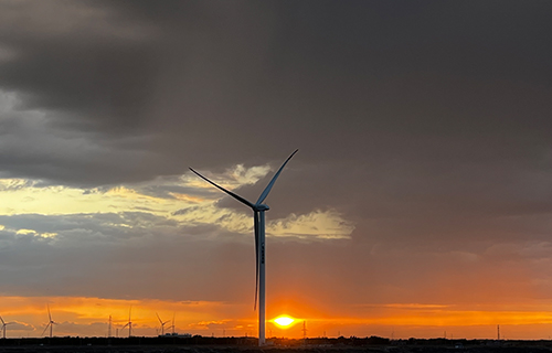 ���ɹų������ţ�����ںϹ���������糡