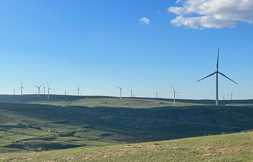 ���ɹ��䴨�������糡