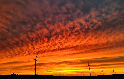 ���ɹ������첼��������625MW�����Ŀ