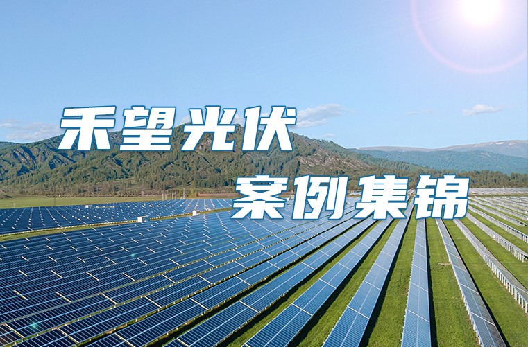 VIP888��(�й���)���޹�˾����