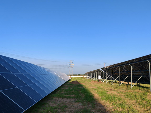 ���ɹŹ��������Ŀ