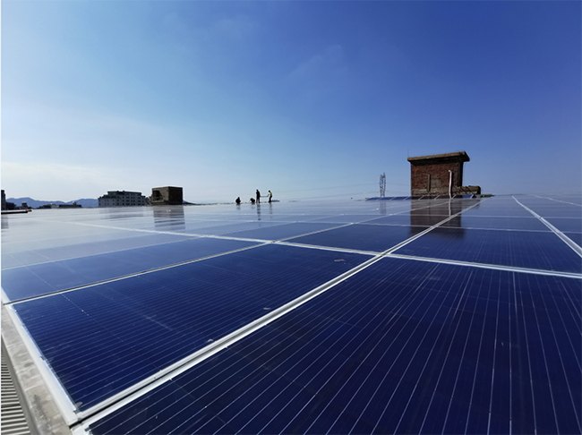 ����������̼  ������������㶫����ʽ���������̳ (4).jpg