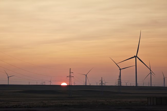 ���ɹŰ����׶�ë����糡 (2).jpg