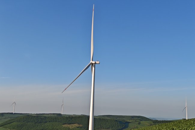 ����������ĵ����SY (1).jpg